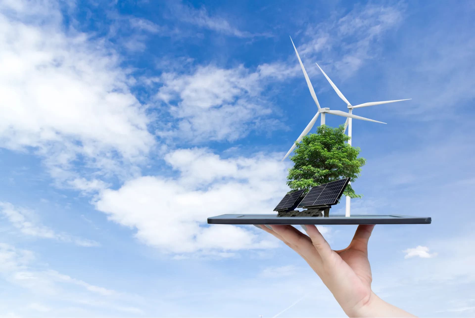 Carbon Credits